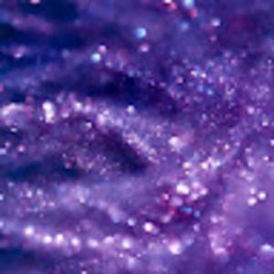 Meet your Posher, Dominic